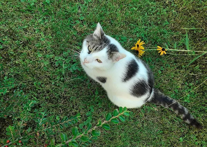 Appartement Haus Gertrude Hoerack